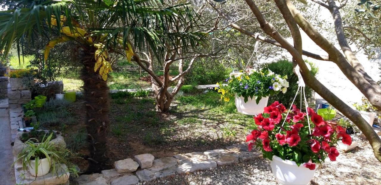 סבטי פיליפ אי ג'קוב Apartman Rabatin מראה חיצוני תמונה